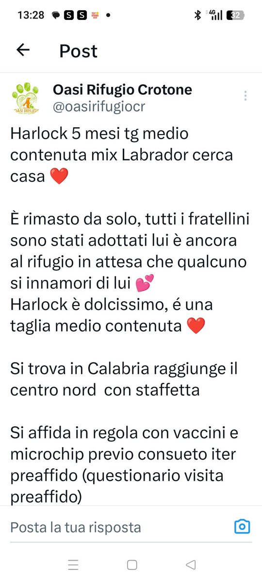 Emilystellaemi2's tweet photo. UN MUSINO DA RIEMPIRE DI BACI, 5 MESI TAGLIA MEDIA CONTENUTA. MIX
LABRADOR. È DOLCISSIMO CERCA AMORE❤️❤️❤️❤️❤️🙏🆘
SI TROVA IN CALABRIA 
Monica 334 117 8953
Grazie infinite ❤️🙏 https://t.co/91ipRsnWXv