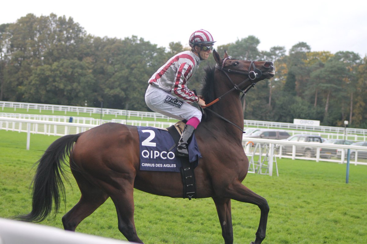 Connochie7's tweet photo. RITE OF PASSAGE, CHARM SPIRIT, CIRRUS DES AIGLES, AL FEROF https://t.co/zBysLq9pqs