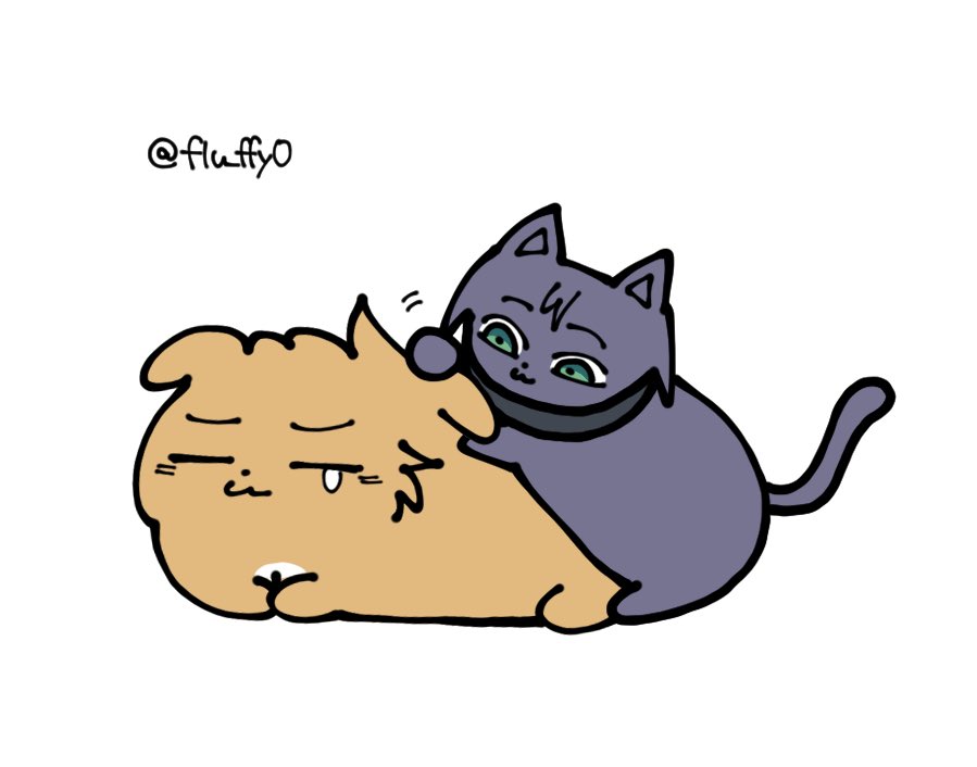 flu_ffy0's tweet photo. でんじーぬとにゃんこれぜ82 https://t.co/fhQcCL7xPo