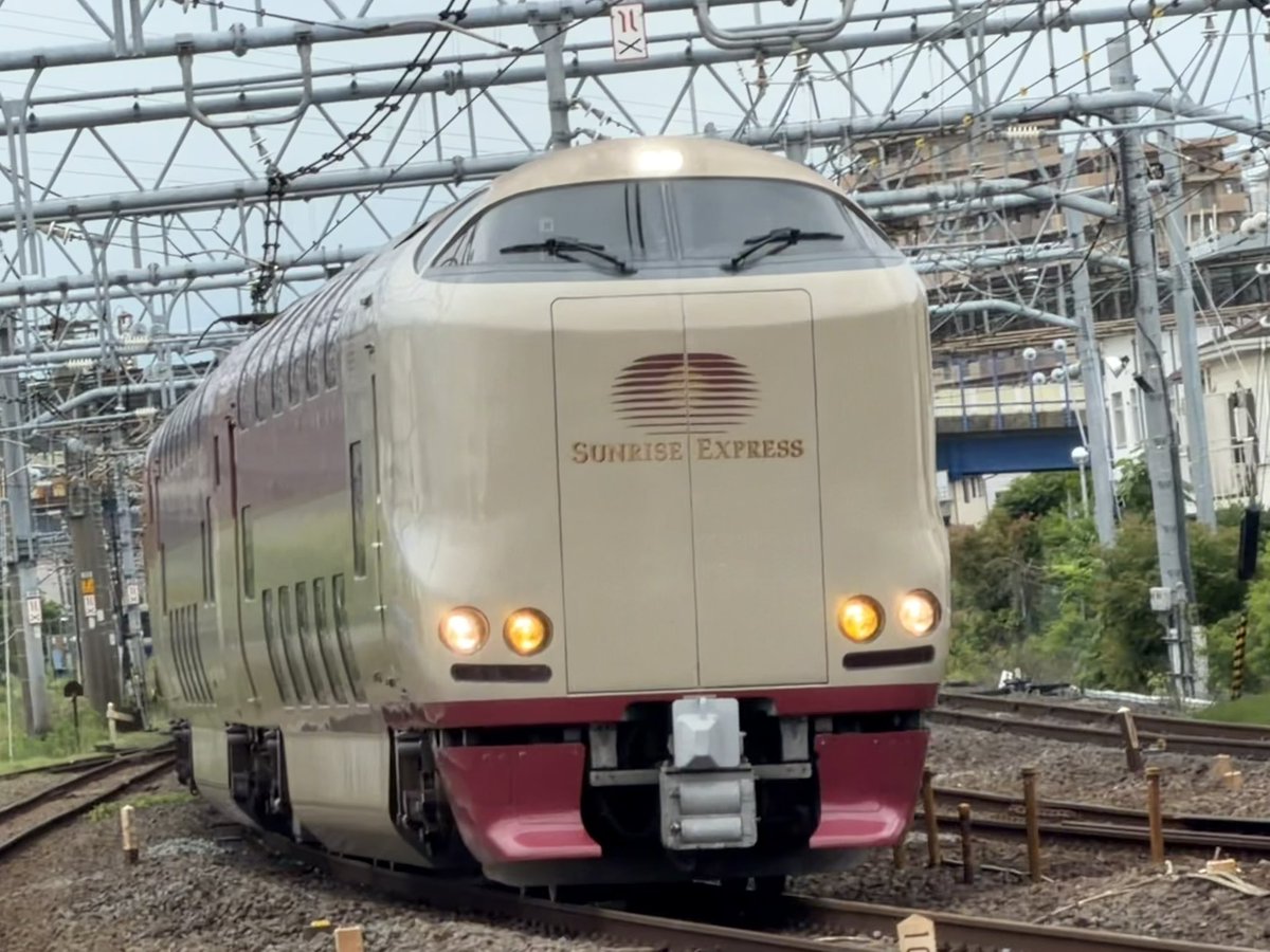 NATTYMAN's tweet photo. おはようございます！
木曜日はソーシャルディスタンシングな散歩

台風一過ですがどんより曇り空の朝です。
かしおがわ河口から9.6km地点
桃太郎イエローライン通過
横からアオサギ
川の水位が上がってますね。
今日のカワセミ
雛鳥も台風に負けず
無事にやり過ごしたかな
そして
今朝のサンライズ https://t.co/a5Yk7UsldJ