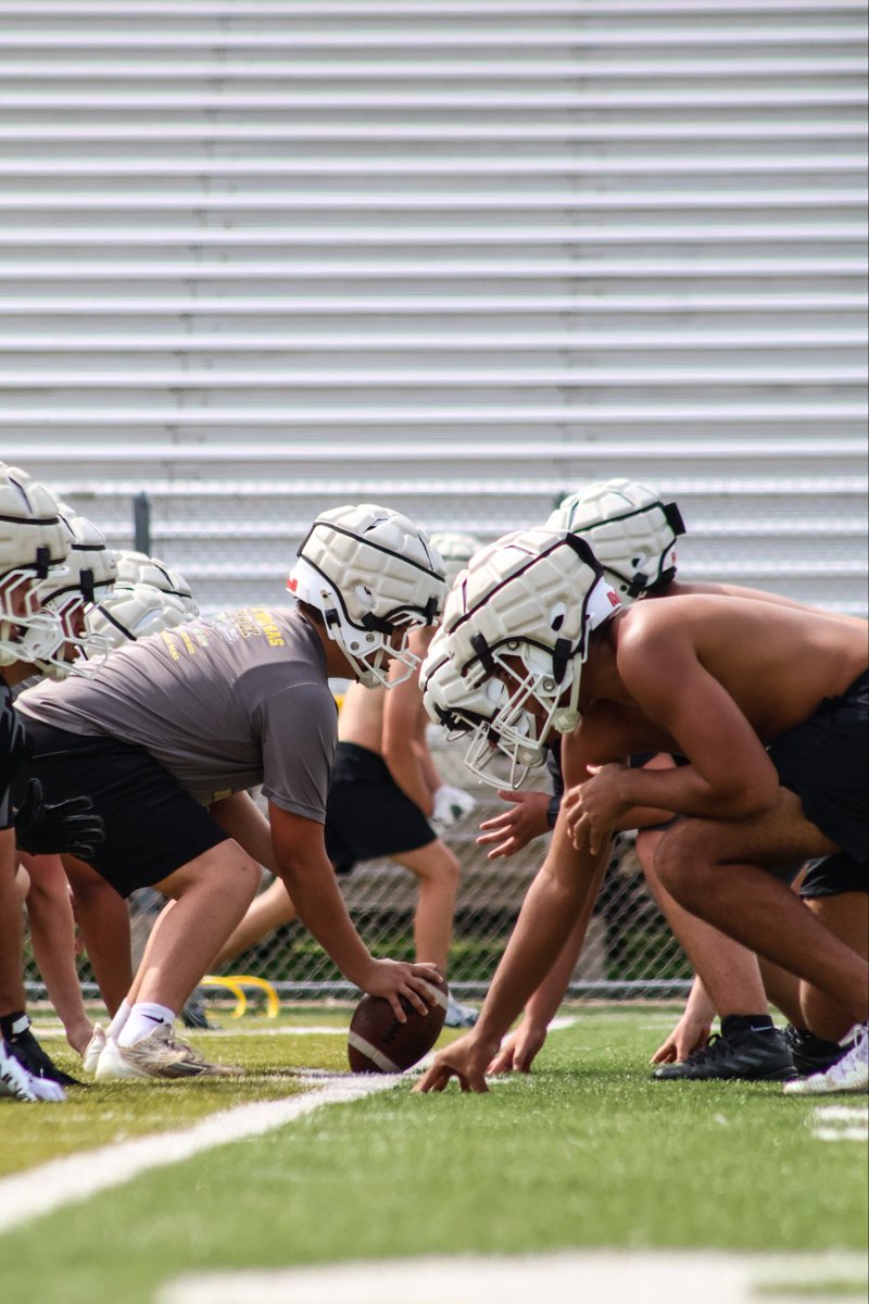 GoldenLionFoot1's tweet photo. Spring Ball in the Books ✅ https://t.co/Z8kGB2jJHM