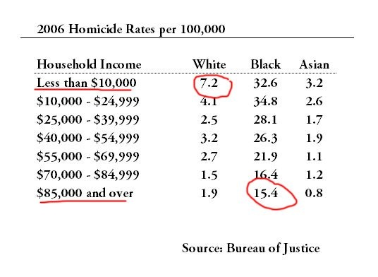 dampheil's tweet photo. Rich blacks murder more than poor whites. It's not "socioeconomic factors" it's because they're a 70 IQ retarded race that should be deported back to Sub-Saharan Africa and left there until long after they've invented the wheel. https://t.co/N3gCMWKqgv