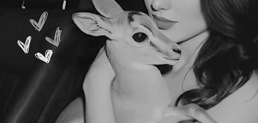 ahsaslayla20's tweet photo. سيـره ذاتيـه ..

في مكانٍ زهت به ضجّة الجلّاس
انا وحدي جليس الشعر و الكرسي .. 🦌✨ https://t.co/Za7I5zlu0t