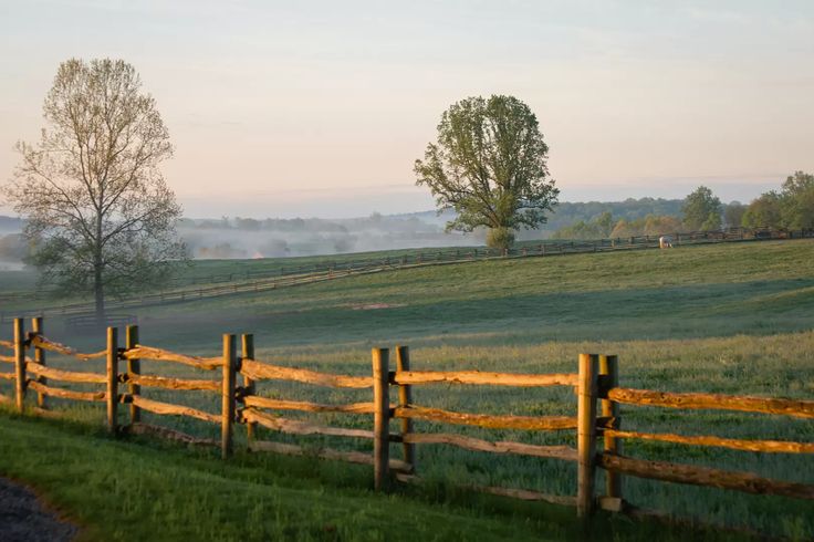 classicspilled's tweet photo. Virginia. The New Eden. Not too cold and not too muggy. Perfectly fertile soil for tobacco. Our nation's greatest soldiers and gentlemen sprung from her soil. The mother of the South and of America https://t.co/OwBHEtV3YH