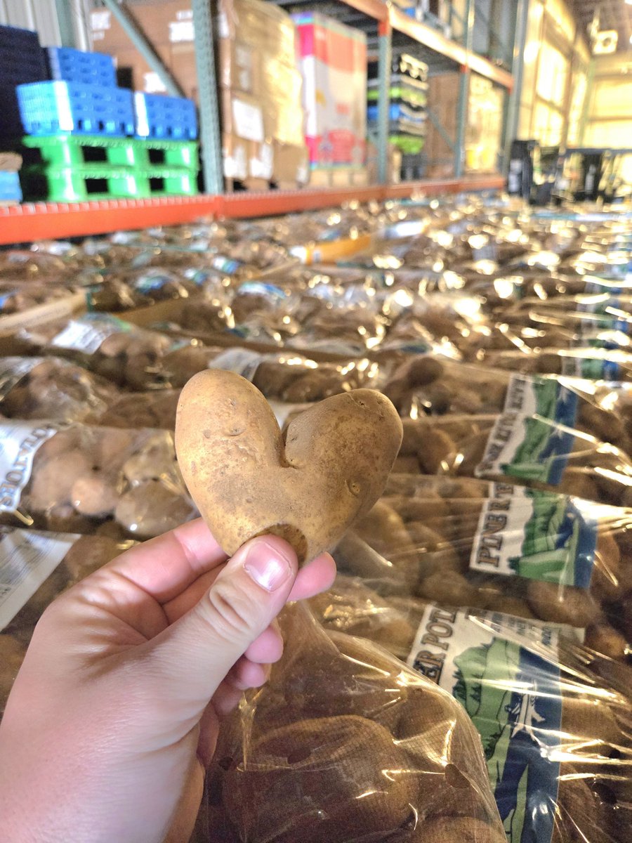 ComHarvest's tweet photo. We ❤️🥔! Thank you to our supporters who made this happen! Potatoes will be spread out over our Farm Wagons, Community Cupboard, and Agency Partners! https://t.co/L6yopSXXr3