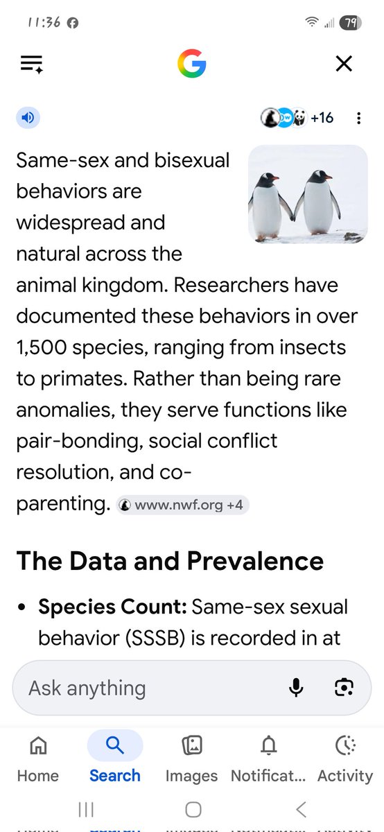 OneKnightFury's tweet photo. @OperHealAmerica Against nature huh 🤔🤣 looks like the animal kingdom including insects might have something else to say about that 🖕😂 https://t.co/n3t67CH7Px
