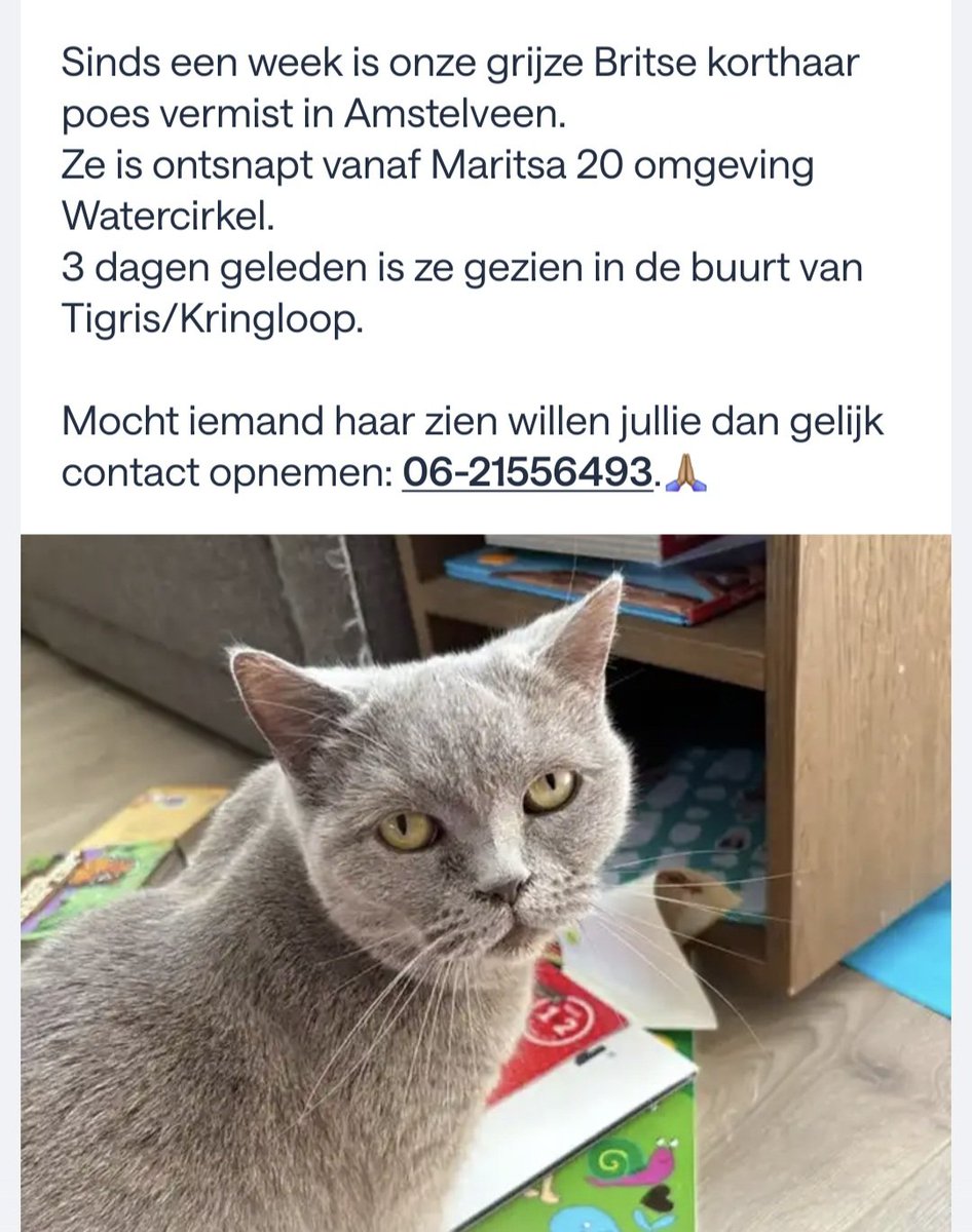 Jacqueline46140's tweet photo. #Amstelveen 
#vermist https://t.co/mUtR03faqC
