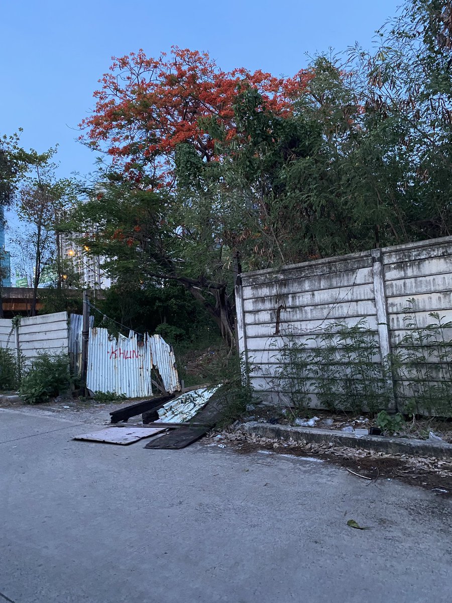 11th_OD's tweet photo. ประตูทะลุมิติ 🫣 https://t.co/FdgiaczJp1