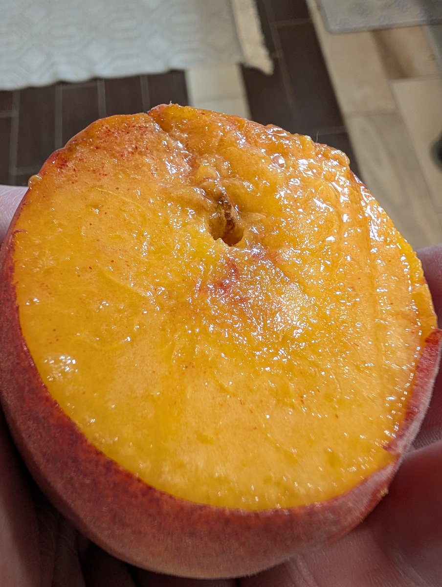 Reece_Reed1's tweet photo. Fresh off the tree https://t.co/YNwHxWmN0q
