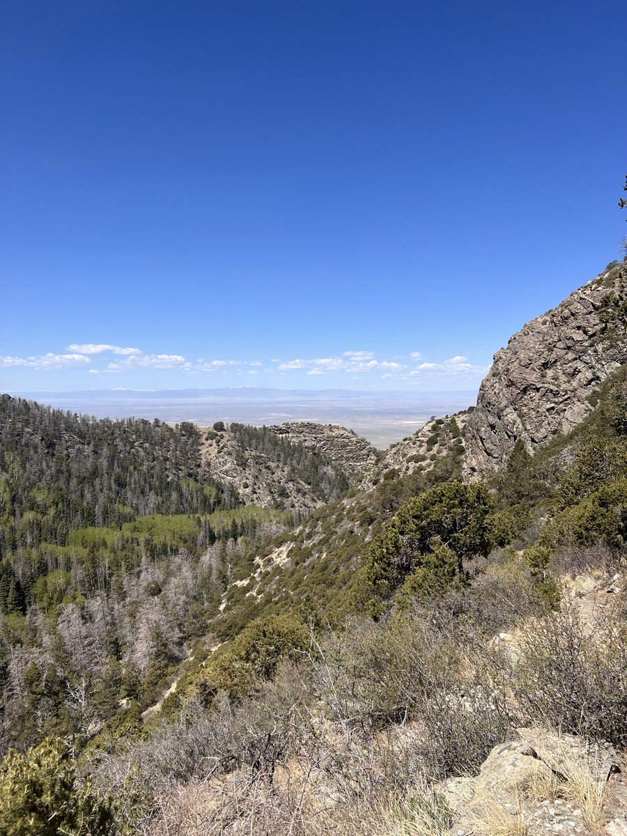 IwillJAByou's tweet photo. All a girl needs to reset is a good solo hike 😍😊✨ https://t.co/G4HVApExX5