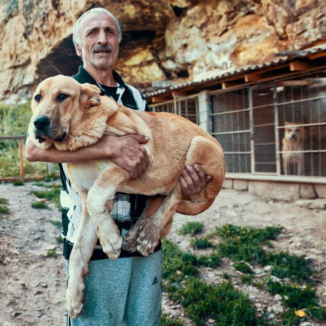 caucasusvisuals's tweet photo. Bagin, a fighting dog breeder from the Avar village of Sogratl, Dagestan.

shandi_ / IG https://t.co/lDbwdeiiCY
