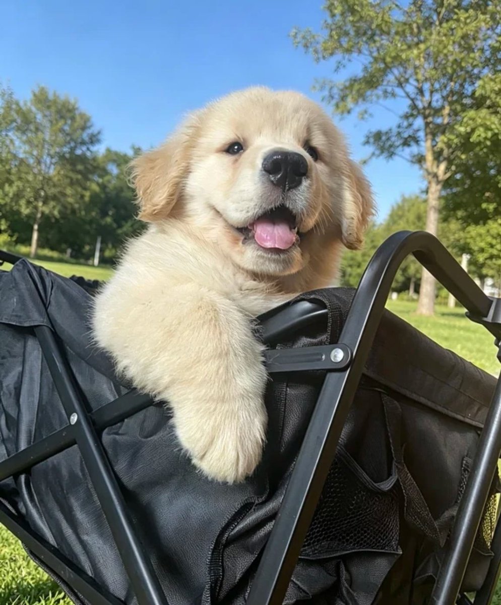 kazuha ｡ tweet media