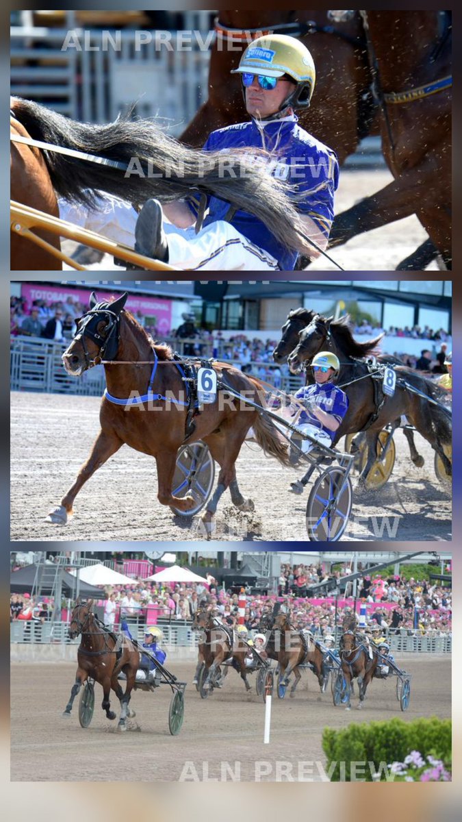 nlpeter55's tweet photo. Last weekend @Solvalla winning 3 races beeing 2 group I races showing he's stll is King it's been a joy watching him public yelling GOOP GOOP GOOP 
Stort grattis @goopbjorn 👑🤎 https://t.co/K5tebuLQO2