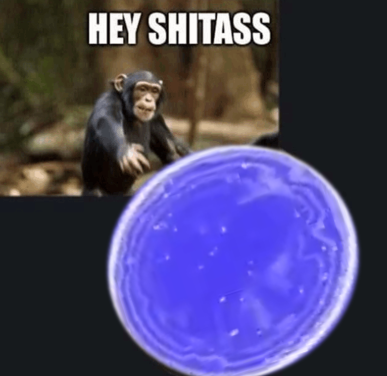 RickKackis's tweet photo. Titan Mains after the Destiny 2 June Update: https://t.co/0xFo9msBHO