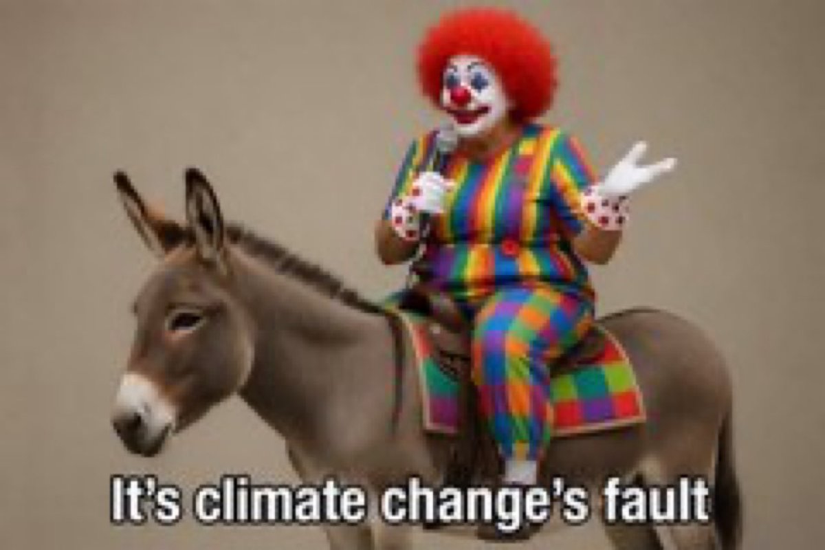 beachguy904's tweet photo. @mazemoore The damage has been done by the demorats 
Àll they do is lie 🤡😱 https://t.co/1VeMK7VKfy