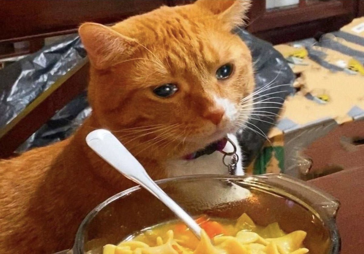 eversman_ua's tweet photo. Kudos to my microwave, which gives me the daily opportunity to enjoy a hot bowl of cold soup 🫠 https://t.co/nrWZIPptJx