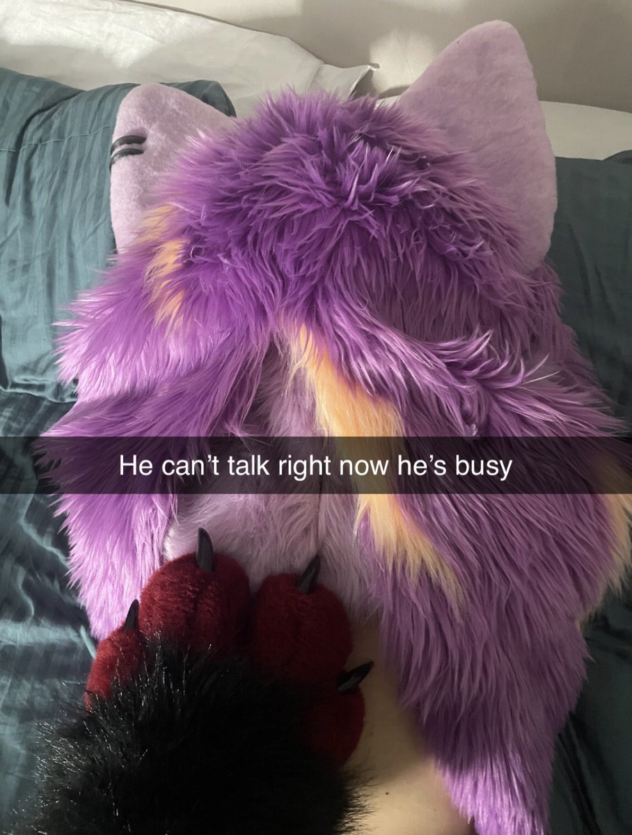 JasperTheCanis's tweet photo. He’ll message you later 😏😮‍💨
@FelxxFiles https://t.co/F486cRsYIW