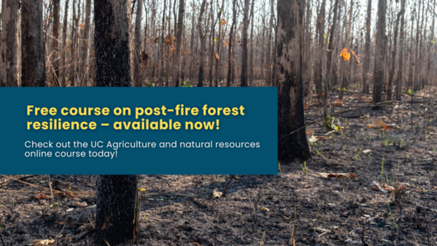 EDWaterAgency's tweet photo. UC ANR just launched a free post-fire resilience online course designed to give forest landowners practical, real-world guidance after a wildfire. The course is completely free to the public. Learn more here: https://t.co/NRmDOh6ZJP https://t.co/dOQHumQ43q