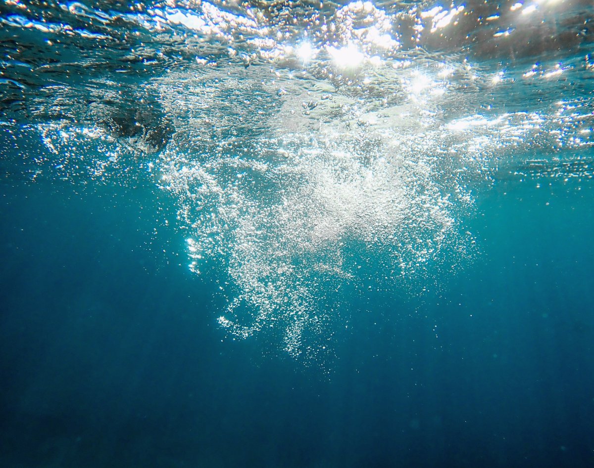 EarthDotCom's tweet photo. Ocean microbes may hold the key to better climate predictions https://t.co/qlc62McKgI #EarthDotCom #EarthSnap #Earth https://t.co/51dpNtH8Of