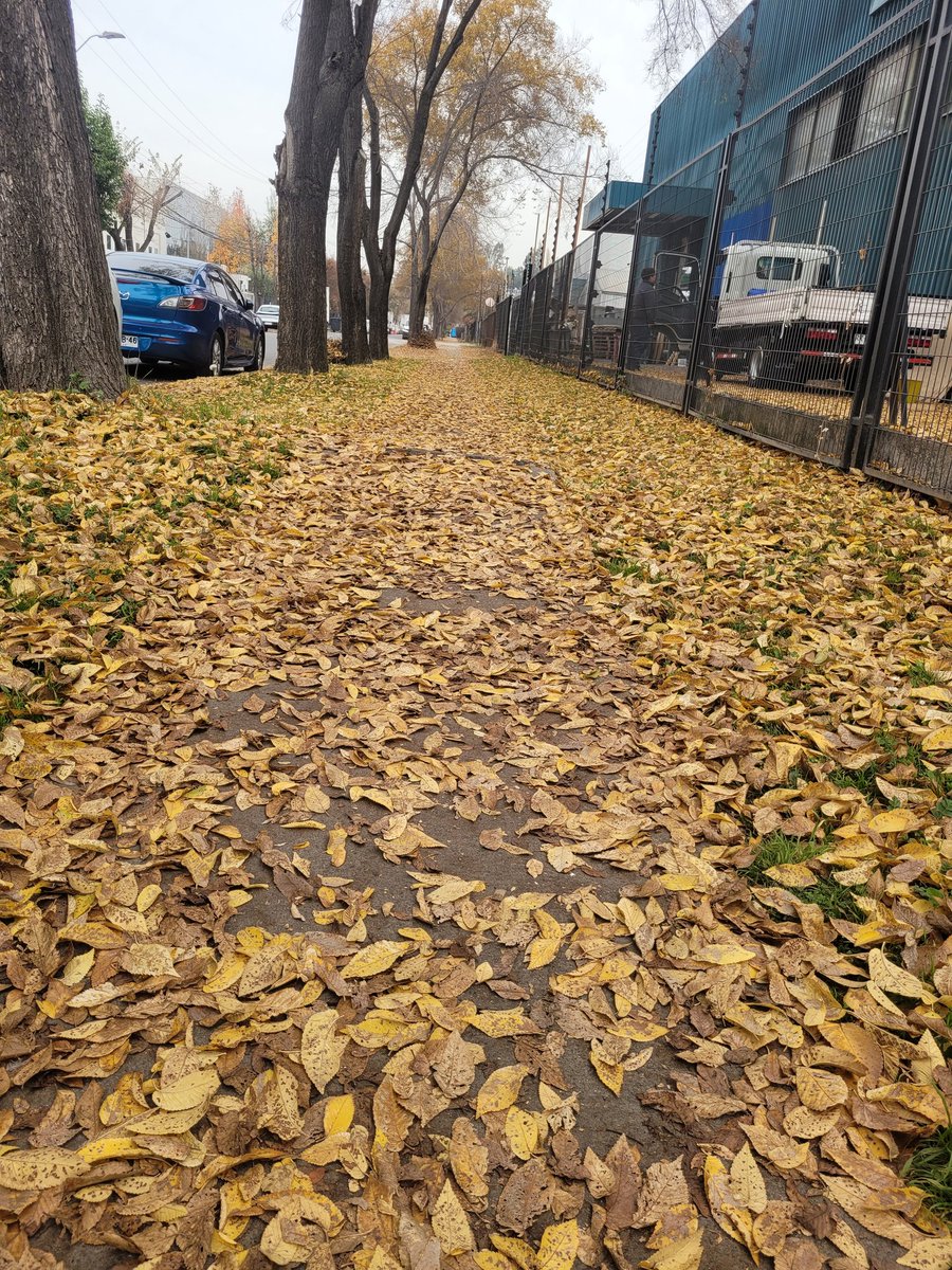 JMolinaPelayo's tweet photo. #Invierno en #Santiago
#WinterIsHere https://t.co/4p4FSAcj95