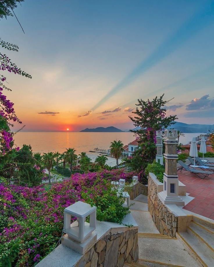 etheravibe's tweet photo. Muğla, Türkiye https://t.co/NxVY5YYxj8