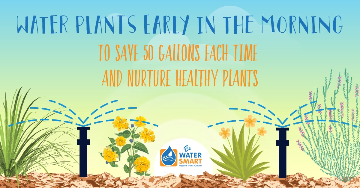 Be_Water_Smart's tweet photo. Watering early in the morning helps you beat the heat, reduce evaporation, and keep your plants healthier longer. A simple shift in timing can save up to 50 gallons each time you water. 🌿#CAWater #BeWaterSmart #SaveOurWater https://t.co/MMs2H0kxAT