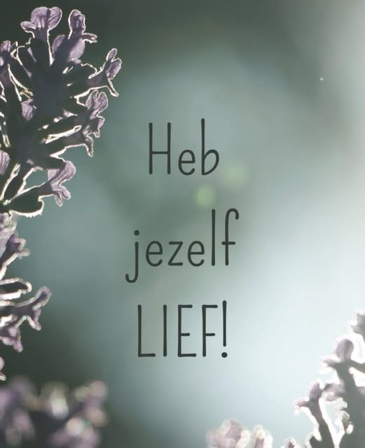 Mediumplein's tweet photo. https://t.co/WZQyShfLri