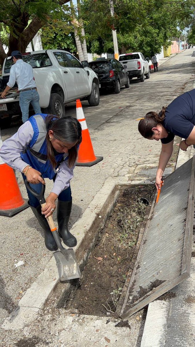 AyuntaMerida's tweet photo. 🚧 Seguimos atendiendo tus reportes. 

Calle por calle estamos realizando el desazolve de rejillas, limpieza de calles y recoja de basura. https://t.co/vWNEC8jMjO