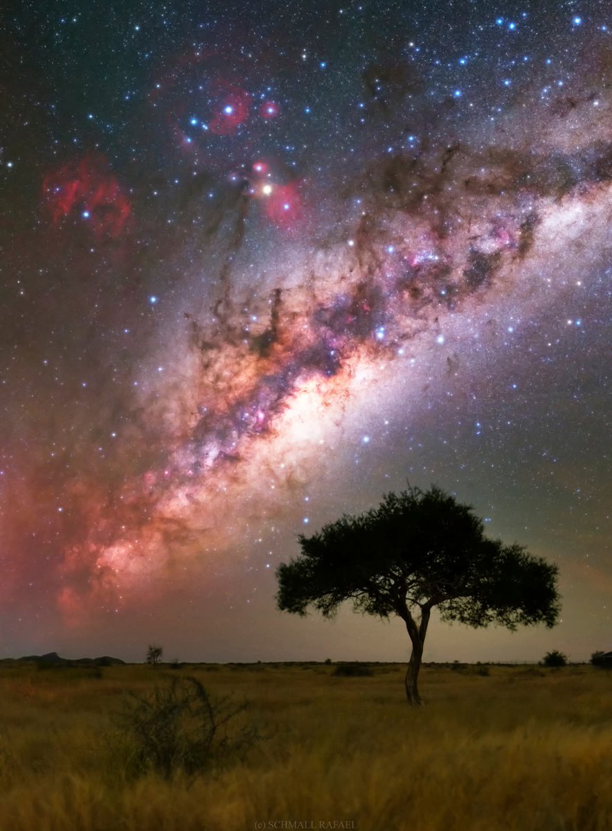 maiz_julio's tweet photo. Milky way over Namibia by M Anthony Robinson (Facebook) https://t.co/B9rlJQf7qK https://t.co/R1YTzukdXb