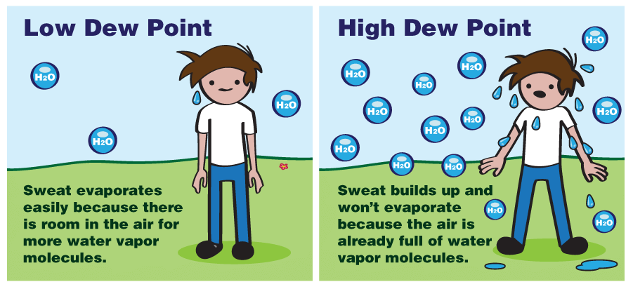 NWSAlbany's tweet photo. You may think relative humidity is the best gauge for outdoor comfort, but you should actually check the dew point! Temps are climbing over the next few days, but with dew points staying in the 40s &amp; 50s, it shouldn't feel sticky at all. Check out these graphics to see why! https://t.co/cSgAHDblCc