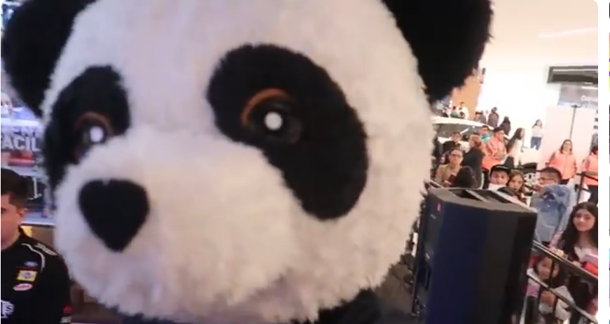 Daniel_Refresh's tweet photo. Yo sin saber quienes eran de fondo, pero en el futuro arrepentido, almenos panda pensaba que yo era de una familia de niños de una foto y me agarro fuerte como un abrazo de un solo brazo y yo tipo :D que suave,, y la mamá me dijo ´´te puedes quitar por favor'' y yo ok.. xd https://t.co/MIo9EUaTPT