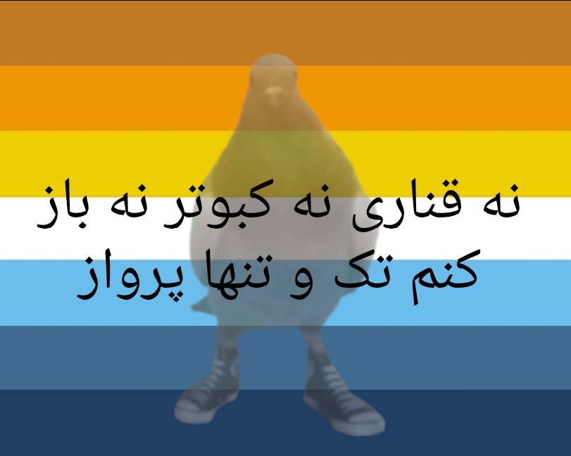 جادوگرم(ویژ ویژ✨️) tweet media