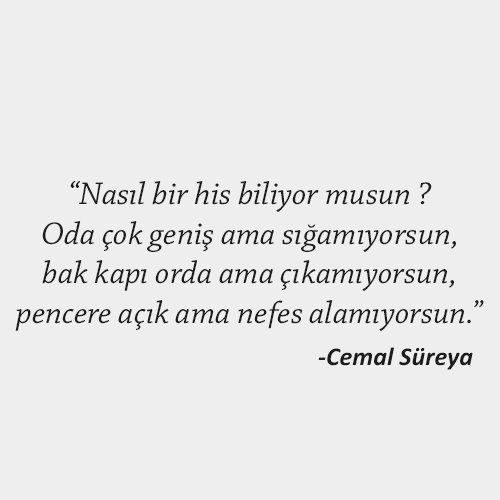 Emir 🖤🤍✊🇹🇷 tweet media