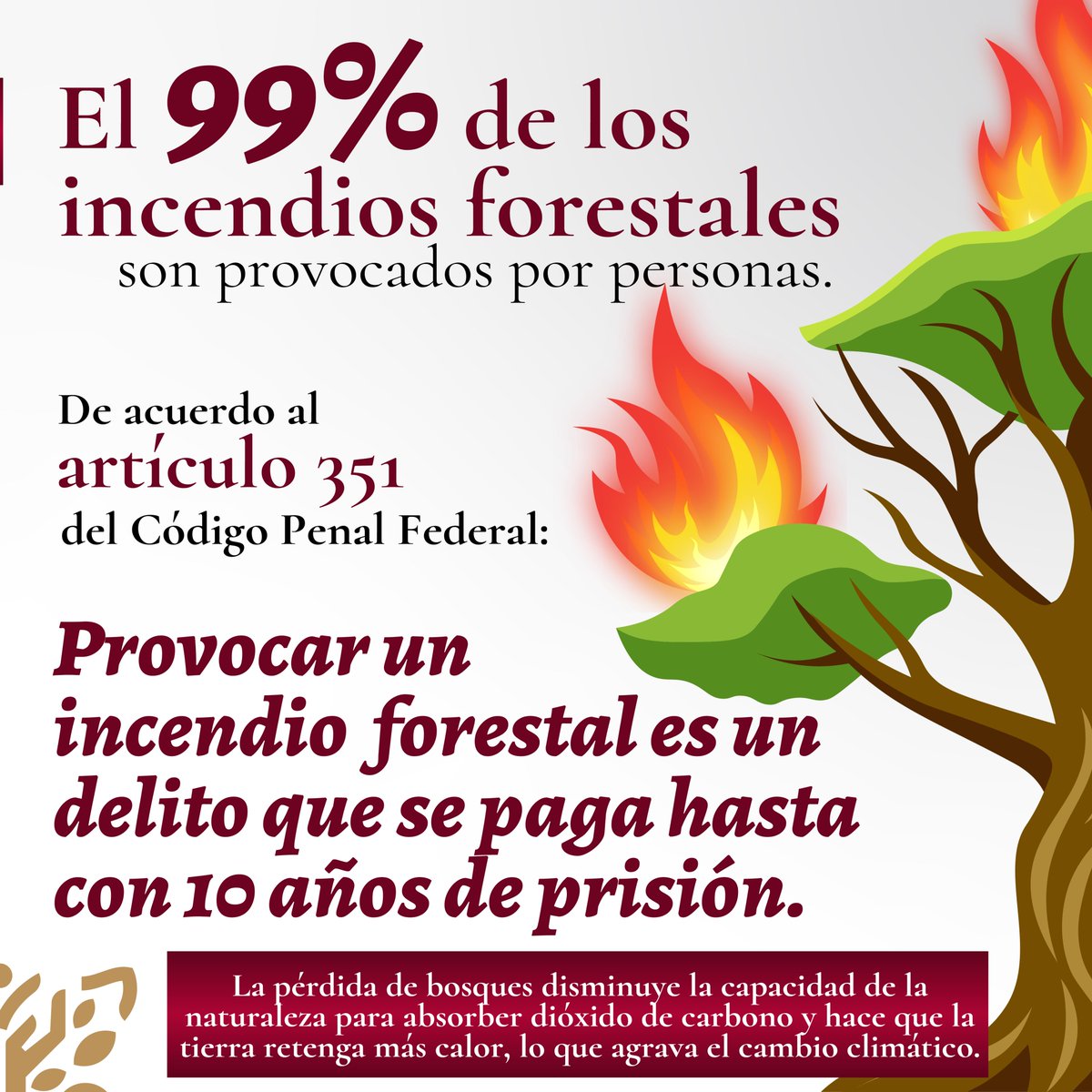 SecuGro's tweet photo. En la temporada de incendios forestales, evita el uso irresponsable del fuego. 🔥

🙌🏻 La mayoría de los incendios forestales se pueden prevenir.

Actúa con responsabilidad: cuida nuestros bosques y cuida a #Guerrero. https://t.co/wkhjLrjD2k
