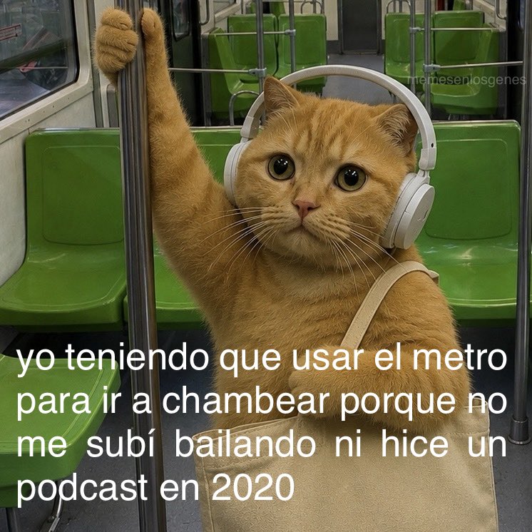 memesenlosgenes's tweet photo. https://t.co/A2QYGeAkHO