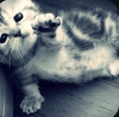 valeewwww's tweet photo. te kiero pero no me estreso https://t.co/Msr9EpIvqb