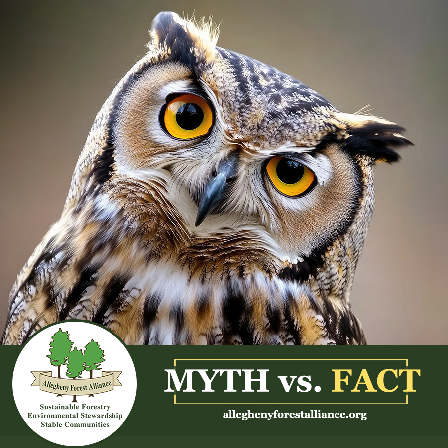 AlleghenyFA's tweet photo. MYTH: Timber harvest is prioritized on the ANF. TRUTH: The ANF is managed under the Multiple Use Sustained Yield Act. Learn more about the laws guiding ANF: https://t.co/meRVsP92Ge https://t.co/yjcHy6YZHP