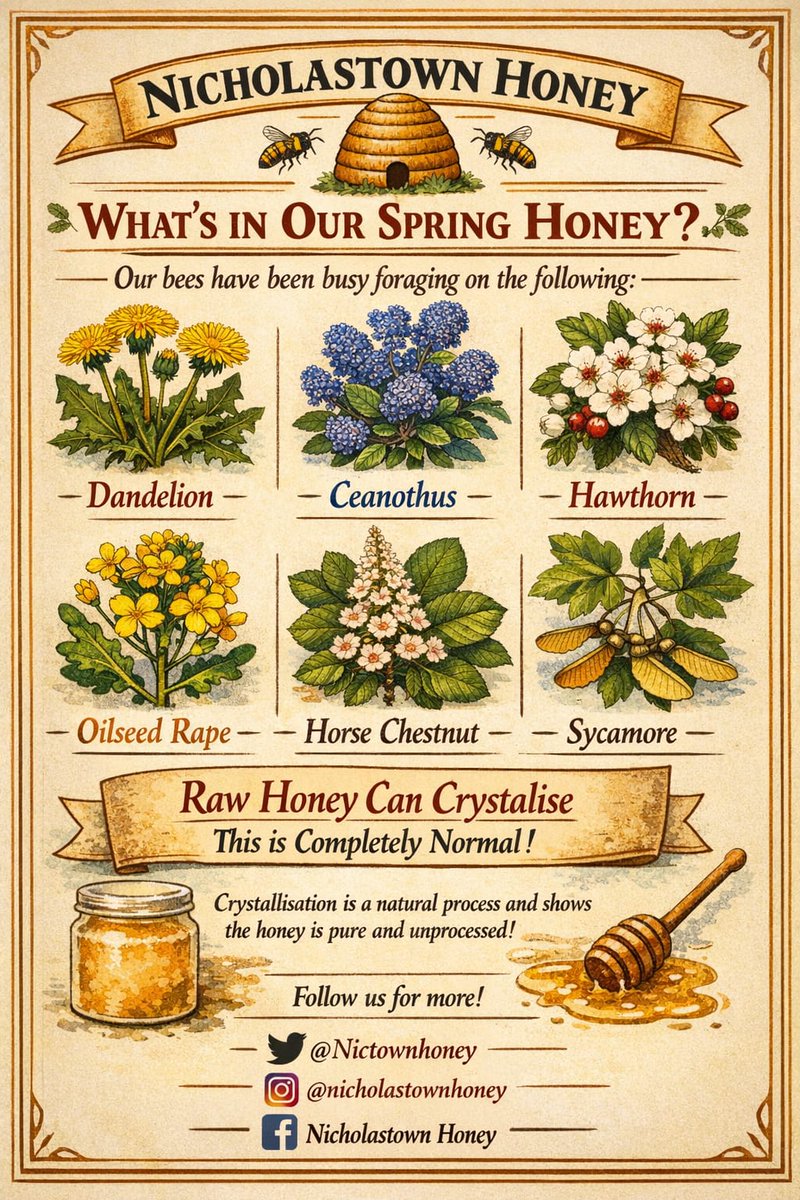 Nictownhoney's tweet photo. Our bees have been foraging on many plants and trees in our garden and surrounding hedgerows and fields. The result is our delicious spring crop on sale now in The Apple Farm 
🍯🐝🪻🤗
#foragingbees #irishhoney #localhoney #irishbeekeeping #honeyharvest https://t.co/pccreACjKt