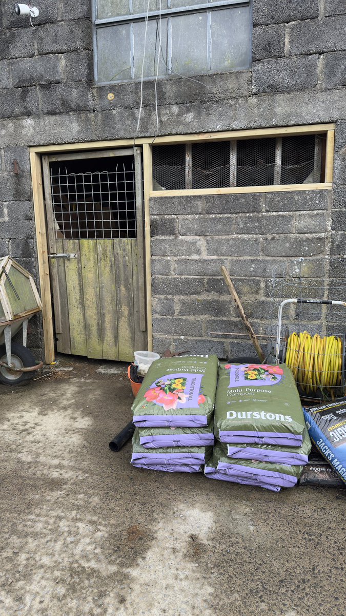 MiloWKB's tweet photo. The start of a couple of new shed doors put together today whilst the weather was being rather March like! 
Frame already put in place yesterday. Never a dull moment 🔨🪛🪚 https://t.co/Tl2ge0OOND