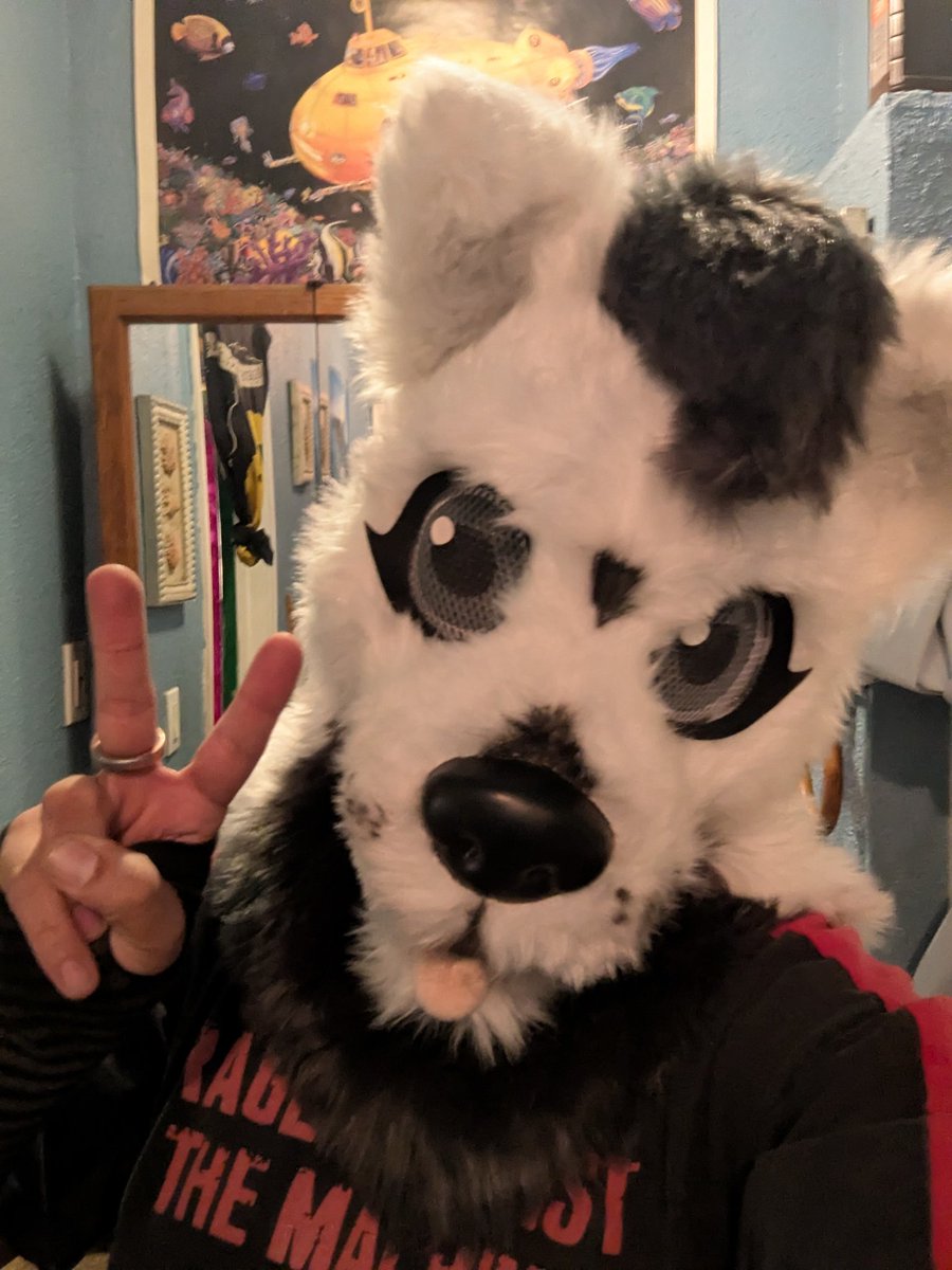Shiroloon81's tweet photo. @FurryBaitMedia Hell yeah! I come from Pueblo Colorado and next time I'm up in Denver I'm checking this place out! Because me and my OC love coffee! And if you see me just call me Hendrix. https://t.co/L6QtjIlUwY