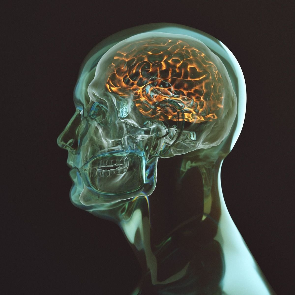 SmartScience's tweet photo. 🚨: Neuroscientists discovered something shocking: your brain doesn't care if your thoughts are true... it just believes whatever you think on repeat. https://t.co/ImZnDhuLCI