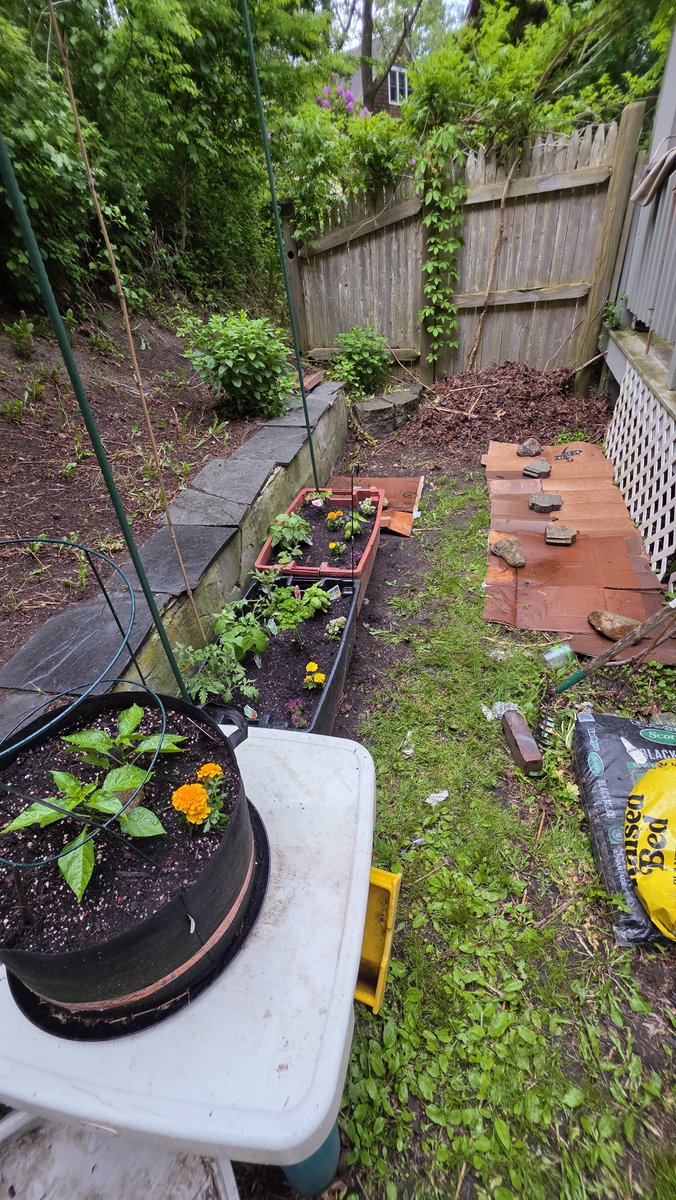 BensonBartender's tweet photo. @jmo22966085 Very cool!   I wish we had a greenhouse...   finally getting some stuff planted outside, here in MA 😊 https://t.co/YNrevYAhNQ