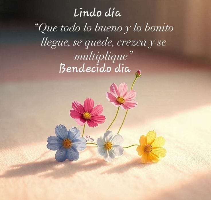 Edy75745008's tweet photo. @lucio_aldo https://t.co/GftZE3UYbk