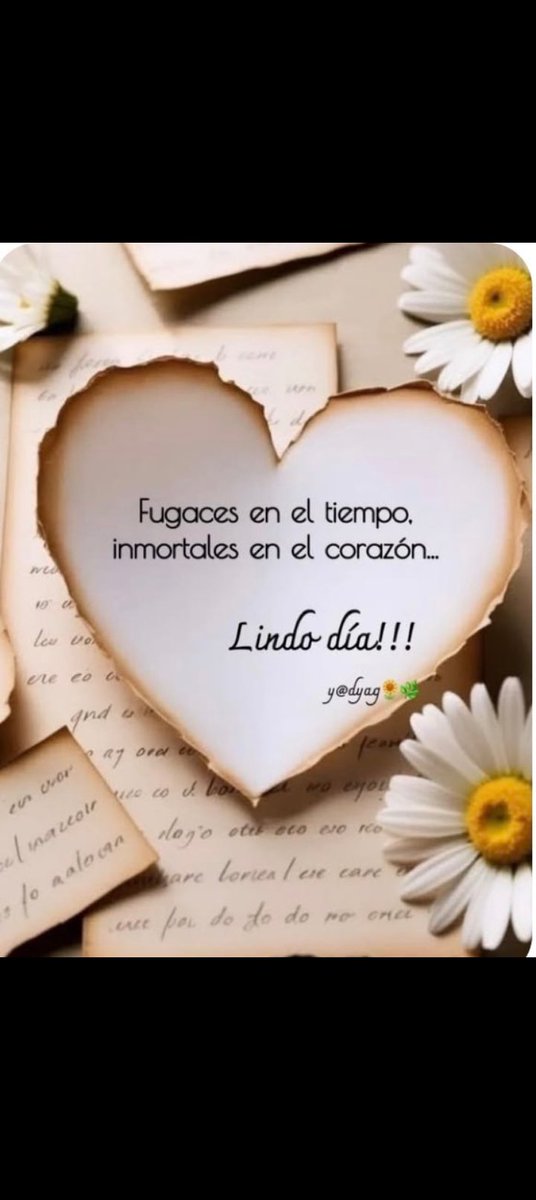 rf219338's tweet photo. Buenas tardes amigos!
Date una nueva oportunidad, no con nadie si no contigo mismo. Tratate con el respeto que mereces y empieza a hacer cosas por ti y para ti. Dedícate tiempo, llenaste de amor y nunca te conformes con menos de lo que mereces. 
Feliz Miércoles. Abrazos 🫂!! https://t.co/o79wqp3GmN