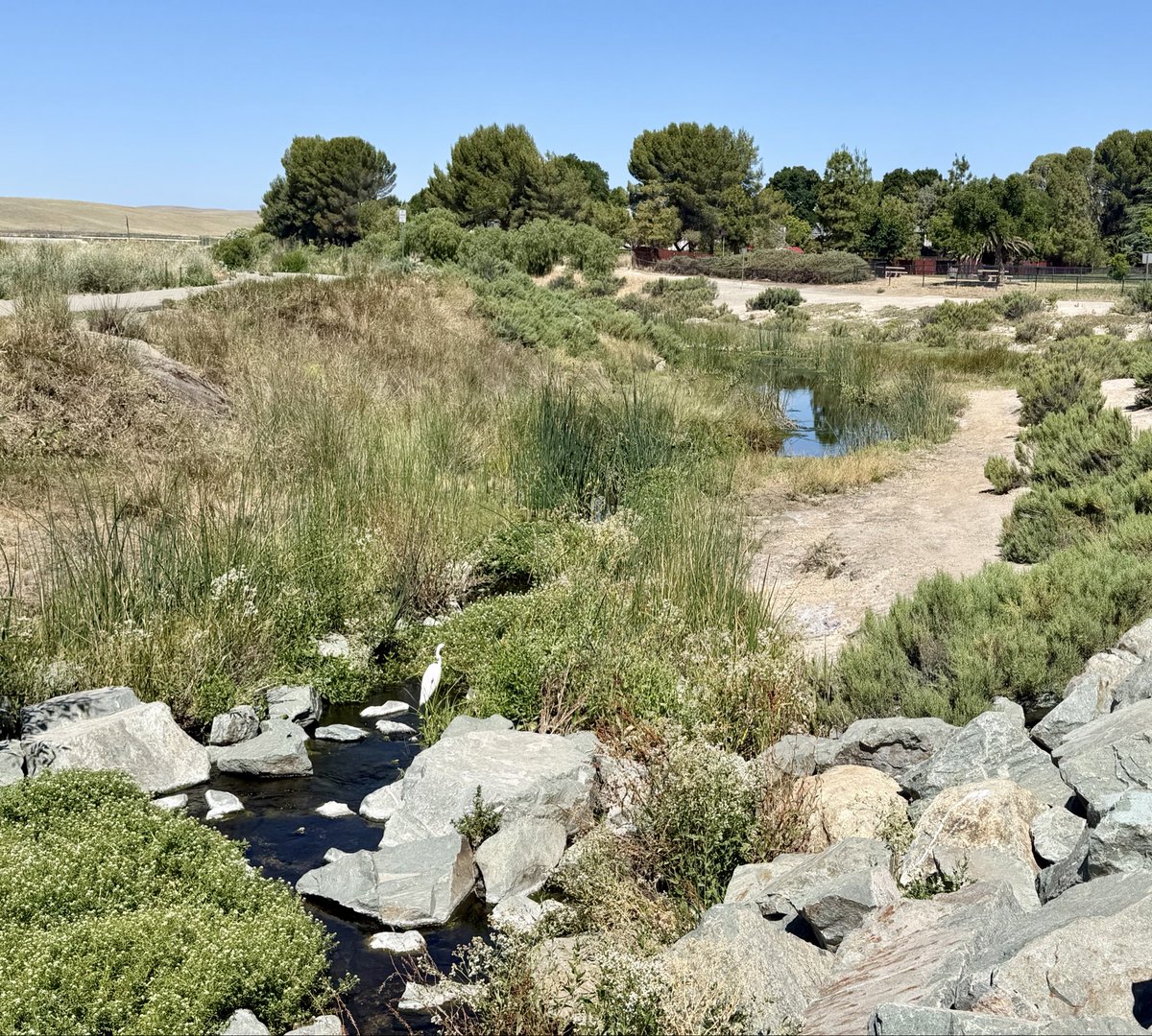 hoppes1949's tweet photo. Out with my Wednesday hiking group for five miles at Springtown wetlands. This is also one of my favorite birding spots and it didn’t disappoint with 33 species with a Belted Kingfisher and Cinnamon Teal and Gadwall still hanging around. https://t.co/yYEBc8LmZ9