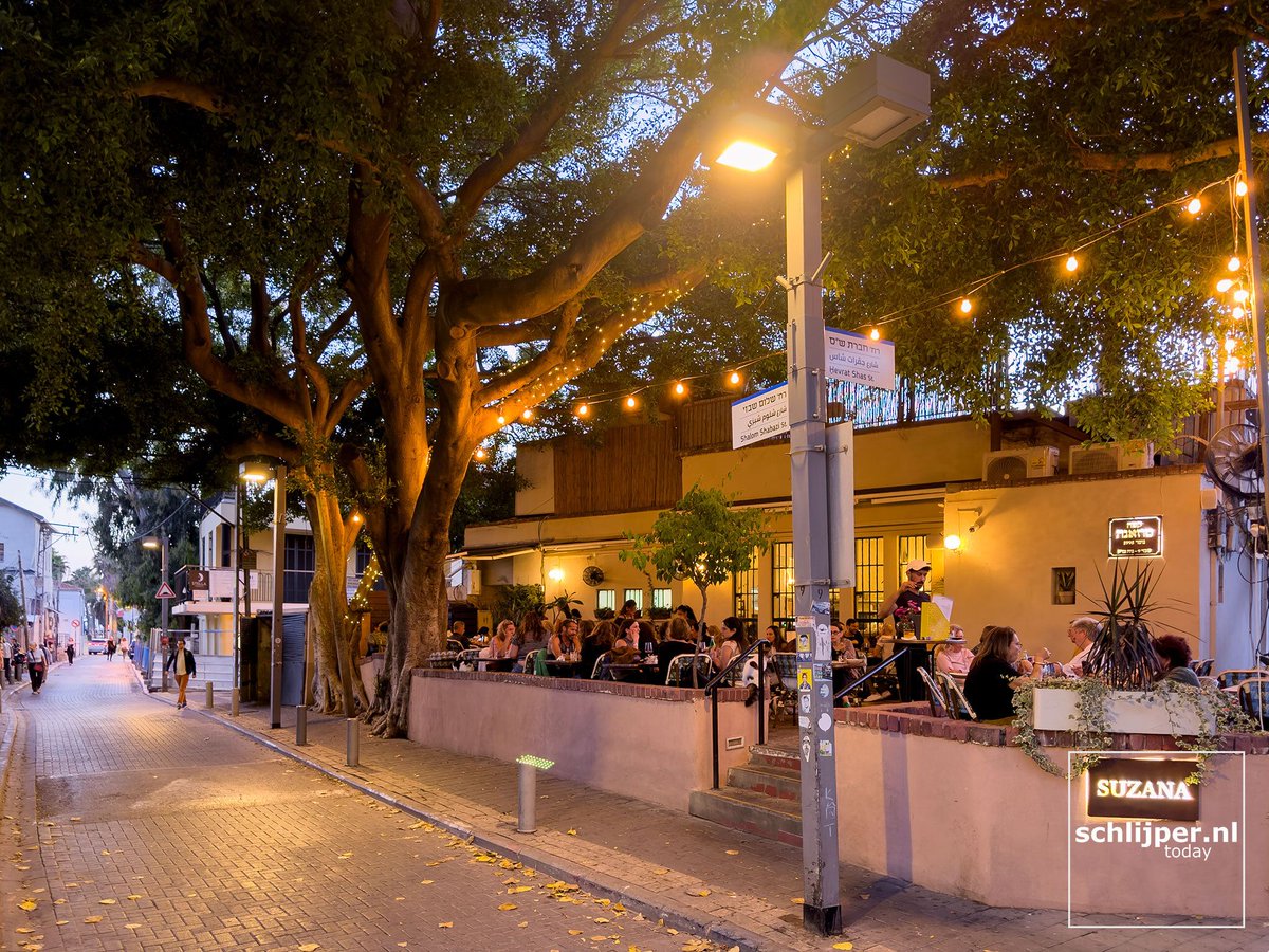 schlijperisrael's tweet photo. Suzana
Tel Aviv, Shabazi, Elazar Rokah
02/06/2026, 19:53 #treesTLV https://t.co/z9KKzL1cQQ