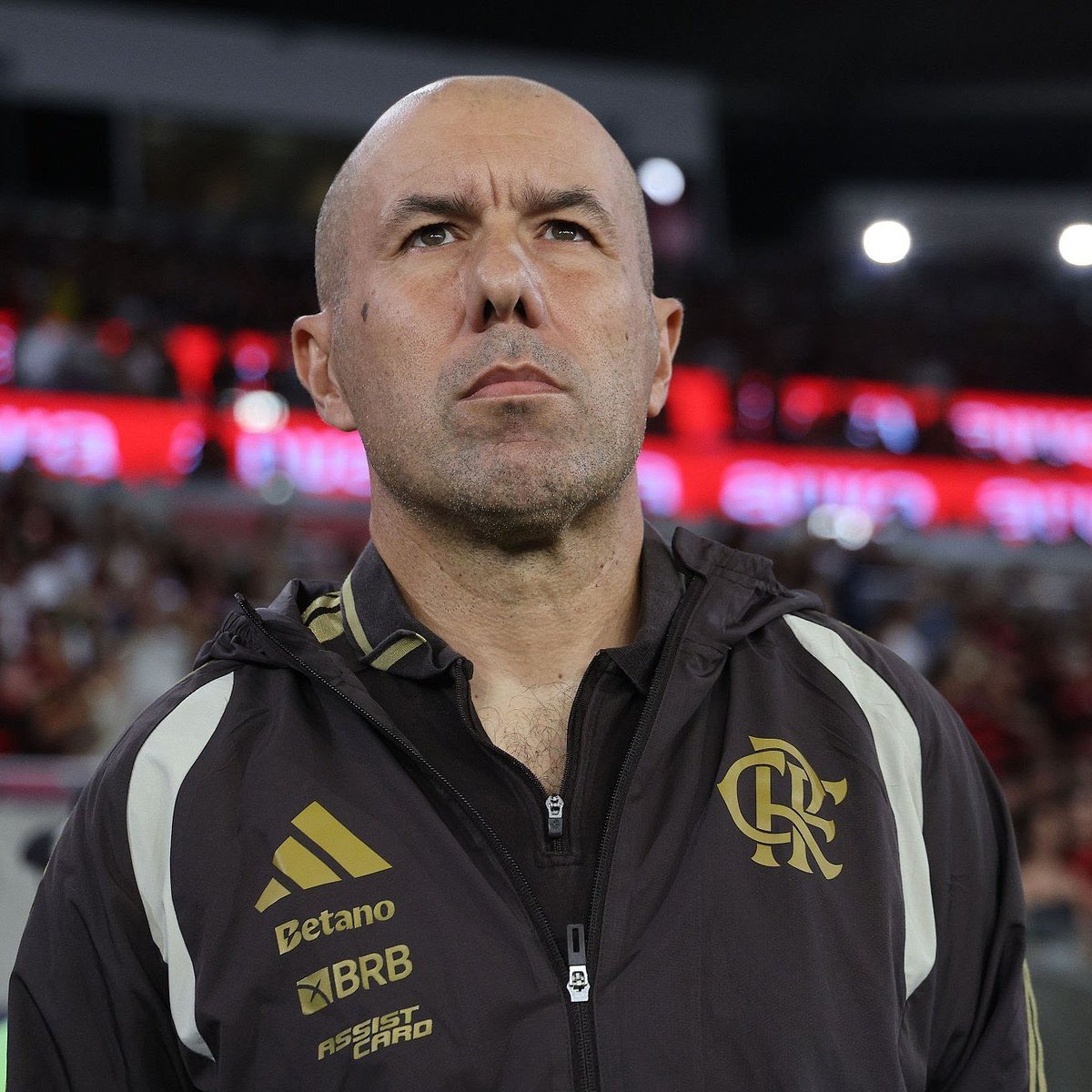 fla_infos's tweet photo. Flamengo avalia e deve fazer 3 contratações para a janela do meio do ano:

• Lateral-esquerdo
• Meia
• Centroavante para revezar com Pedro

🗞️ @UOL | @_rodrigomattos_ 
📸 Divulgação https://t.co/n7QcMqCUtS