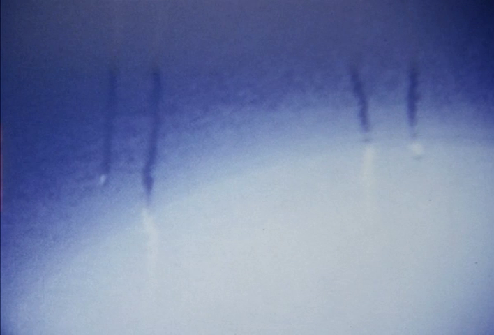 Iacobus_81's tweet photo. Every Day「ヒカリトカゲ」(Isao Yamada, 2002) https://t.co/5BkA9RN3zm