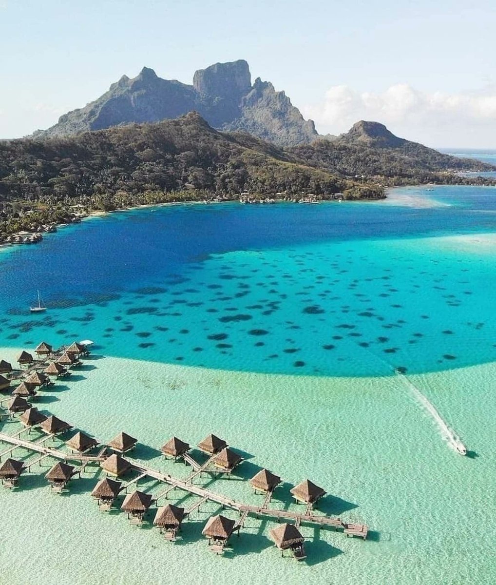 WaterSoul55's tweet photo. 📍Bora Bora, French Polynesia 🇵🇫 https://t.co/JNpR1m0mCV