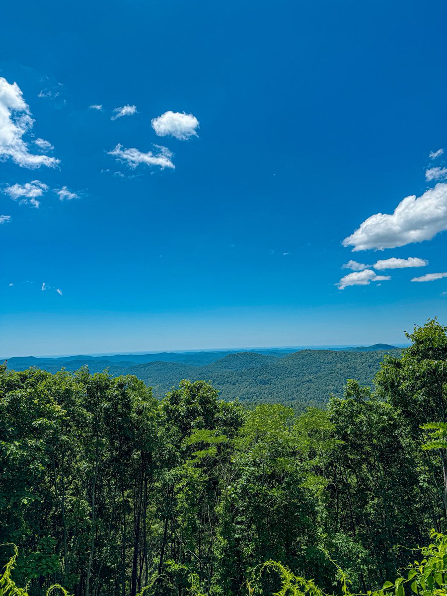 bckjnes's tweet photo. Gorgeous little work trip in NC https://t.co/4Wy2b6kwNp